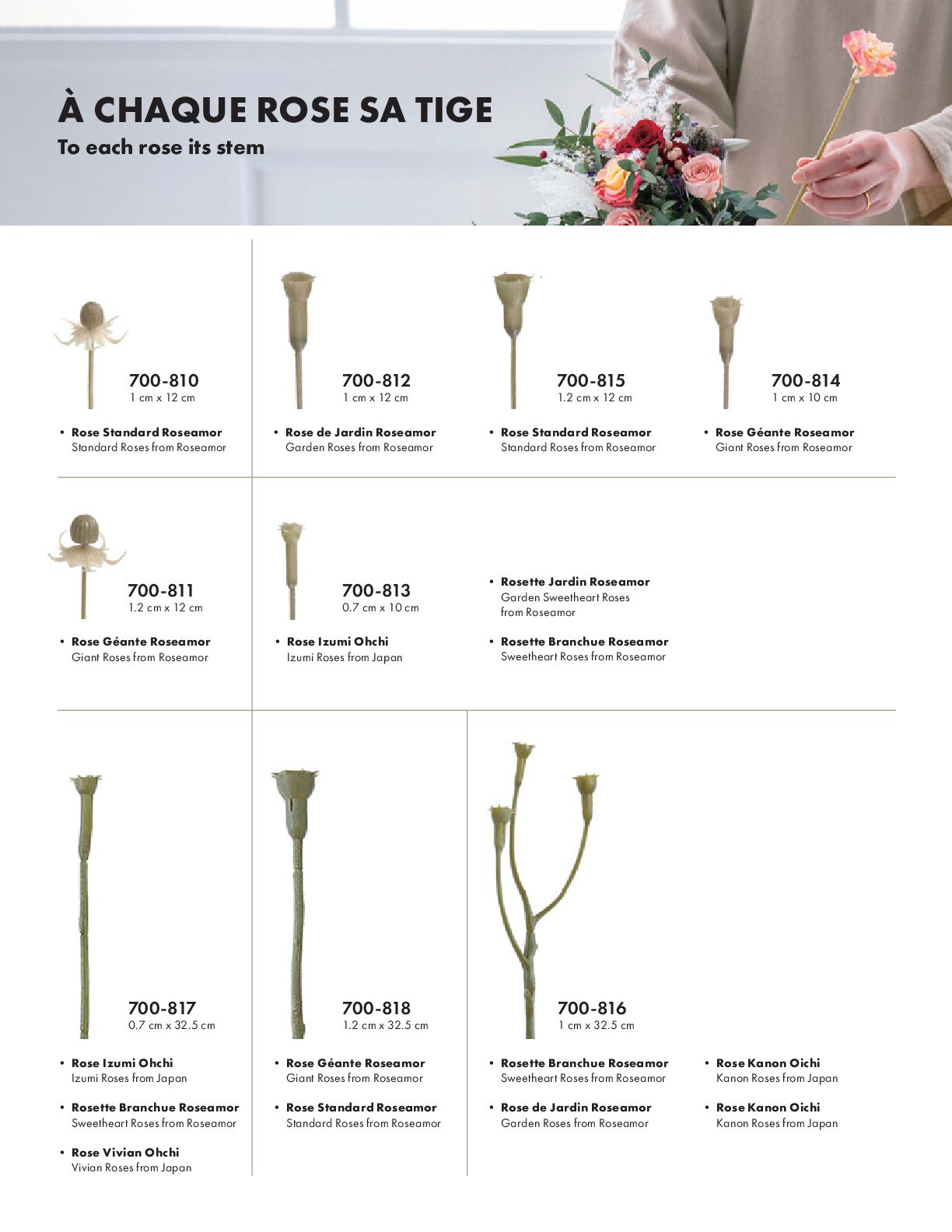 Receptacle Stems Guide