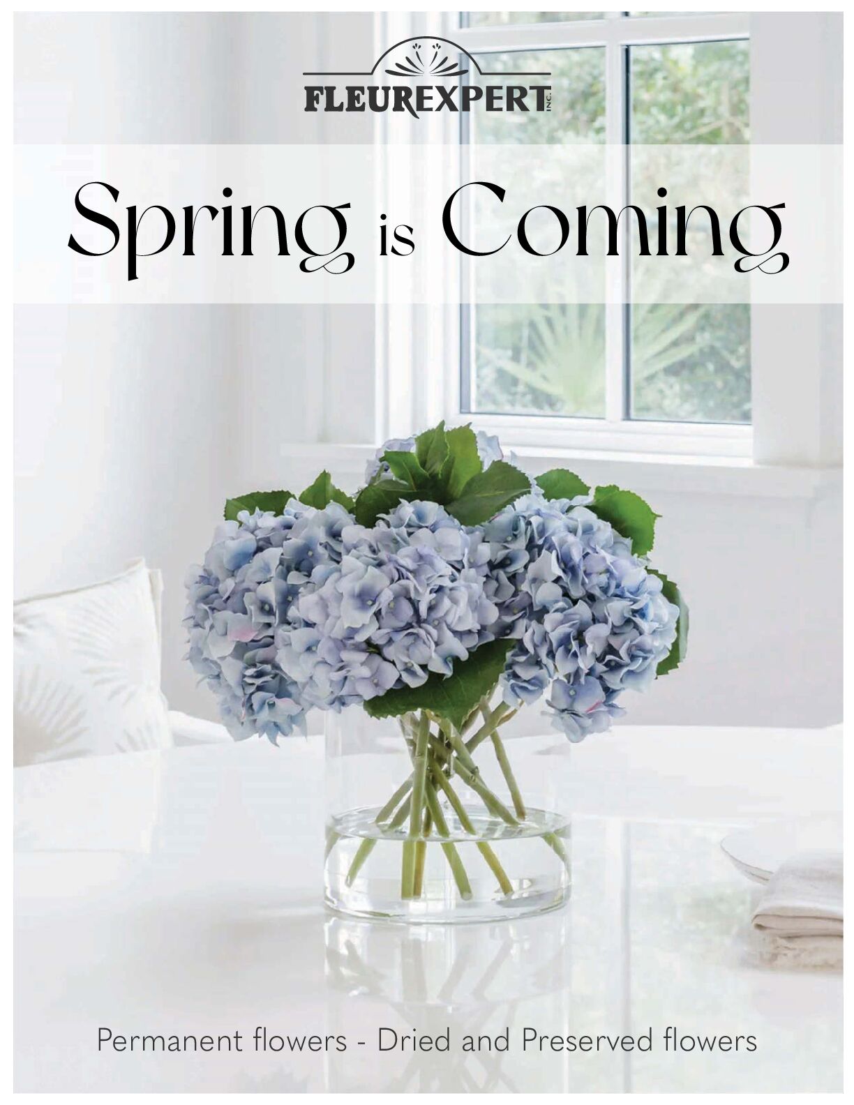 Catalog Spring coming soon