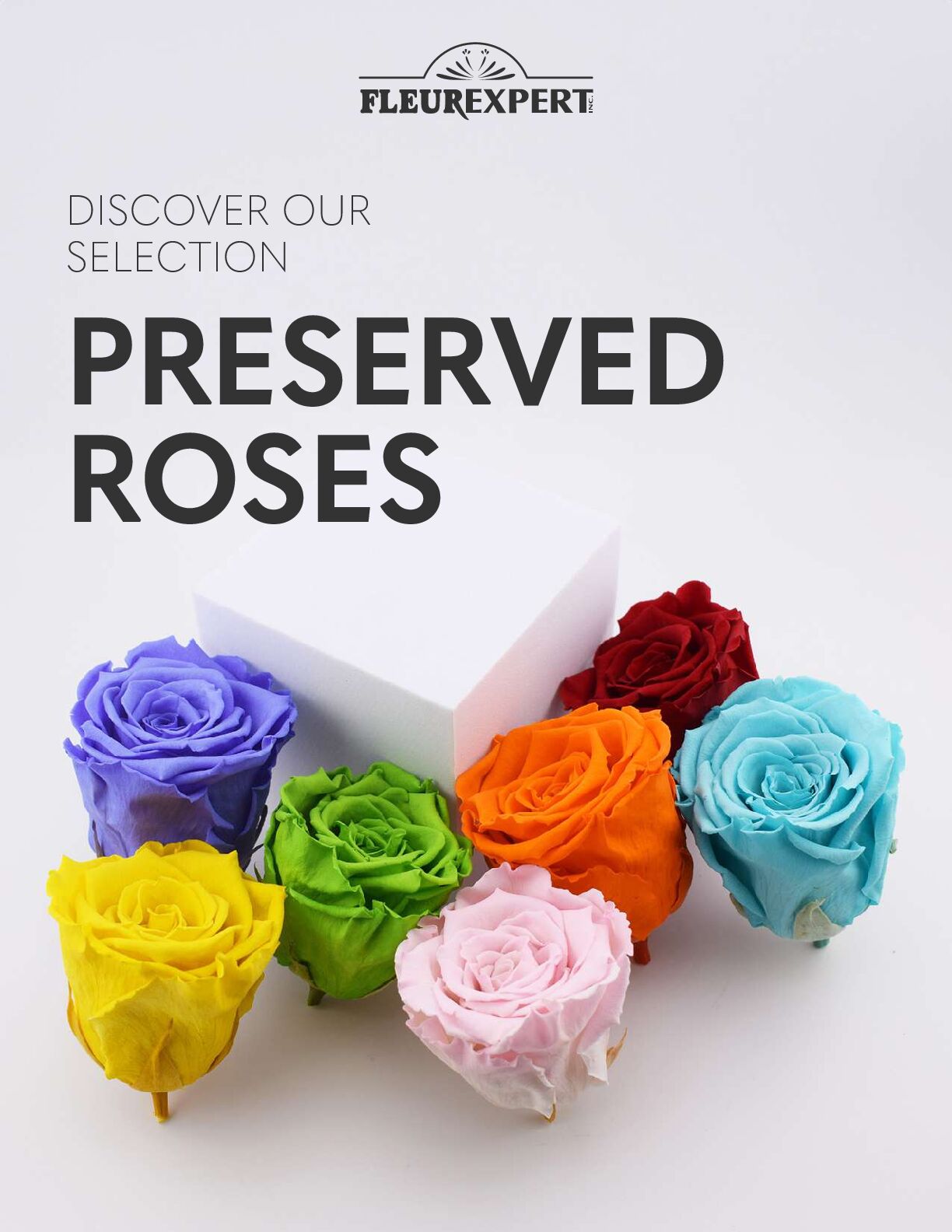 collection - preserved roses